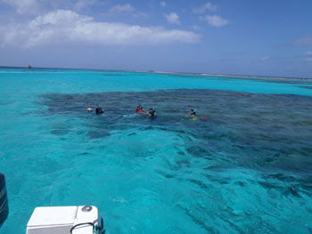 �}�j���K�n��