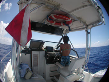 �X�m�[�P��