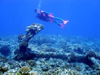 �_�C�r���O �C���@�C�J��