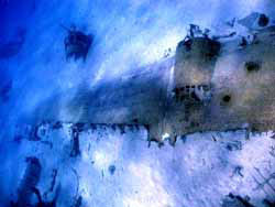 �T�C�p���a�[�Q�X (B29)�@���ʐ^