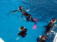 �_�C�r���O���i