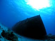 �_�C�r���O �C���@������