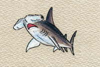 �_�C�r���O �C���@�n���}�[�w�b�h