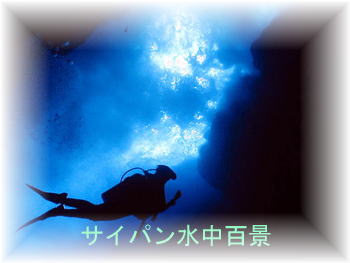 �T�C�p�� �����i�ʐ^�j���i