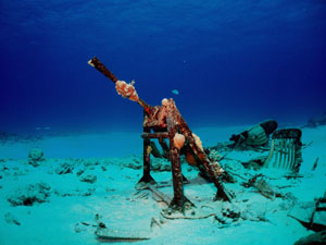 �T�C�p�����b�N