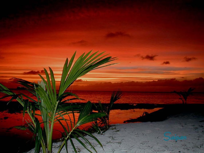 サイパン海の壁紙 サイパン島のビーチや生物 水中風景などフリー素材 壁紙画像 写真 を提供 マサダイブ サイパン Saipan