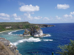 �T�C�p���ό��@�o�[�h�A�C�����h