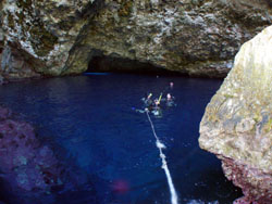 �T�C�p���ό��@�O���b�g