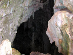 �T�C�p���ό��@�J���x���P�[�u