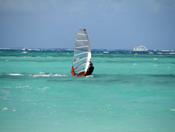 �T�C�p���ό��@�}�C�N���r�[�`