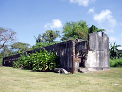 �T�C�p���ό��@���{�Y������