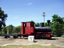 �T�C�p���ό��@�V���K�[�L���O�p�[�N