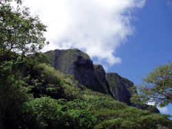 �T�C�p���ό��@�X�[�T�C�h�N���t