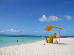 �T�C�p���ό��@�}�j���K�n��