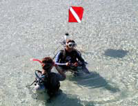 ���C�Z���X�擾�@�u�K���i�Q