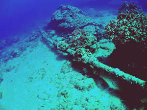 ���E���E�r�[�`�@������