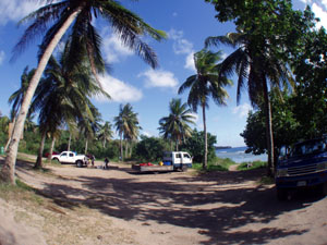 ���E���E�r�[�`�@���ԏ�