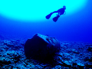 ���E���E�r�[�`�@�h�����J��