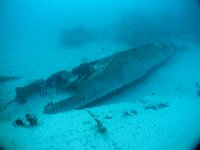 �T�C�p���@�[����S